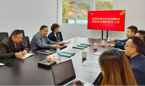 市经信局调研我司关于发展新经济培育壮大新动能工作