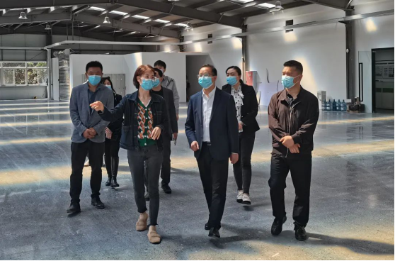 自贡市投促局领导一行莅临我司座谈指导